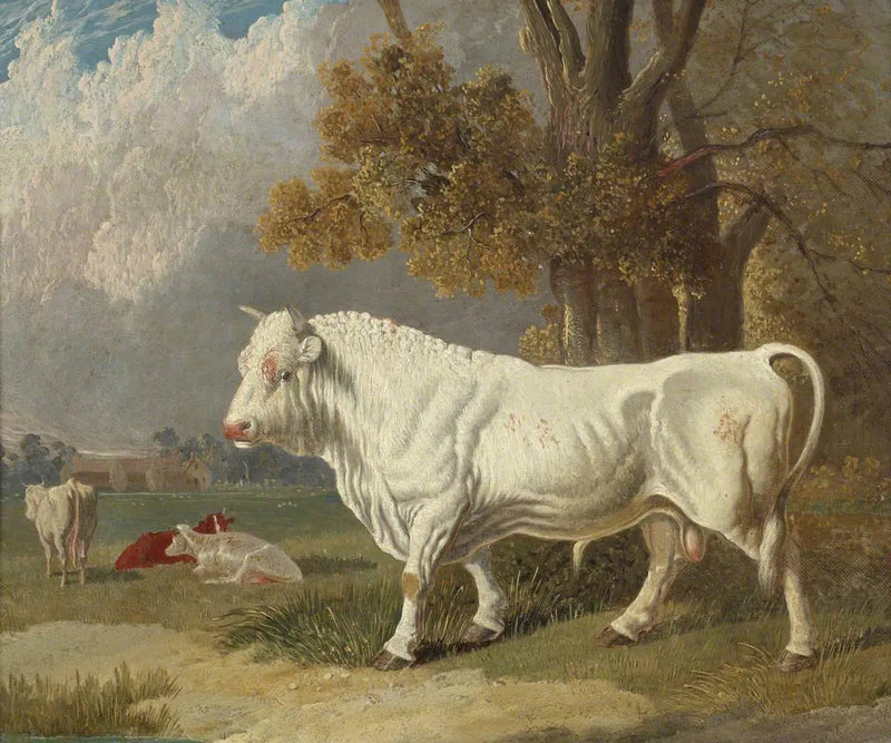 Toro blanco, Fulbourn, Cambridgeshire, 1830 - John Frederick Herring, Sr.