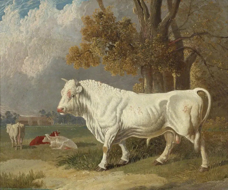 Toro blanco, Fulbourn, Cambridgeshire, 1830 - John Frederick Herring, Sr.