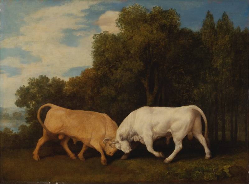 Toros - George Stubbs