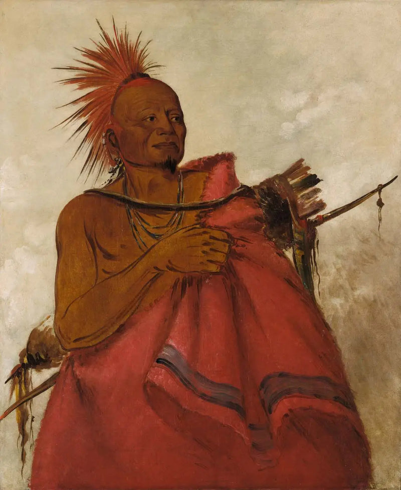 Tcha-tó-ga, Búfalo salvaje, asesino de dos hombres blancos - George Catlin