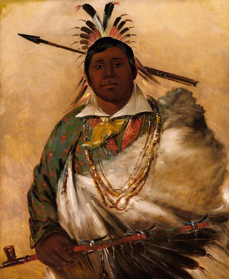 Téh-ke-néh-kee, abrigo negro, un jefe - George Catlin