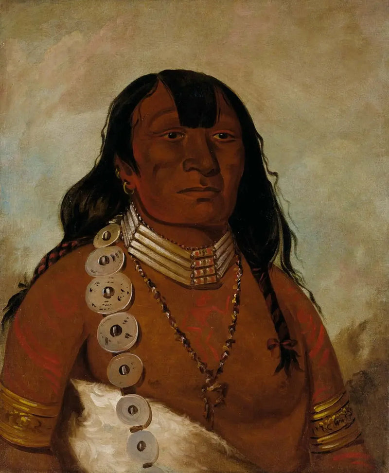 Téh-tóot-sah (mejor conocido como Tohausen, Little Bluff), jefe principal - George Catlin