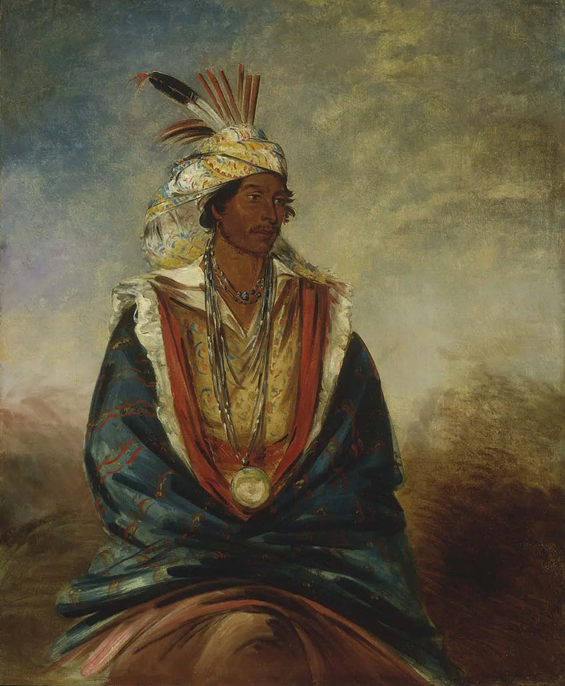 Tel-maz-há-za, un guerrero de distinción - George Catlin