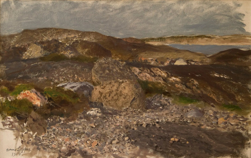 Terreno rocoso - Bruno Liljefors