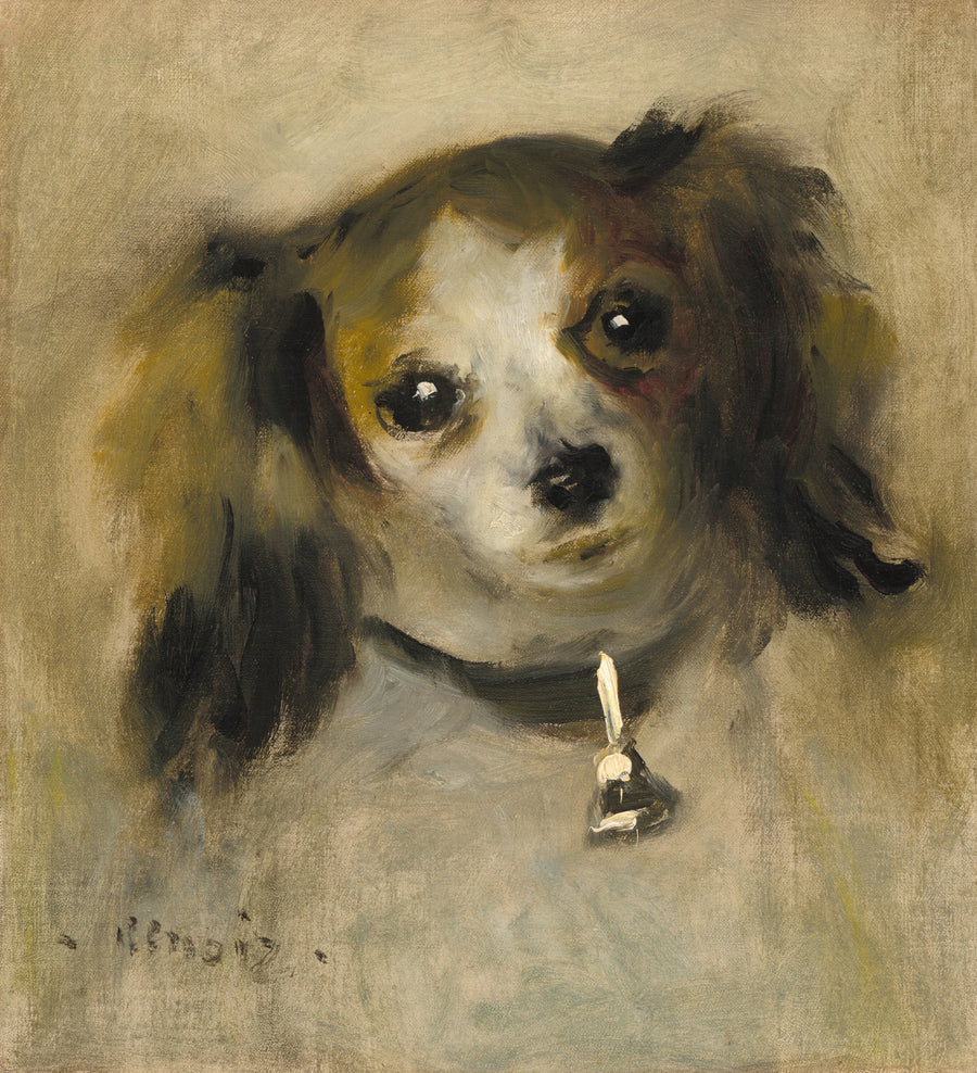 Tête de chien - Auguste Renoir