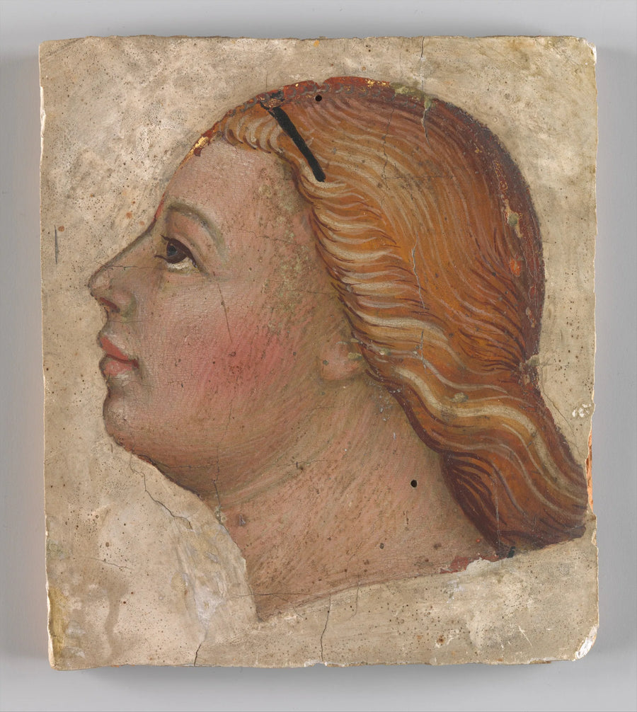 Cabeza de ángel de perfil izquierdo - Taddeo di Bartolo
