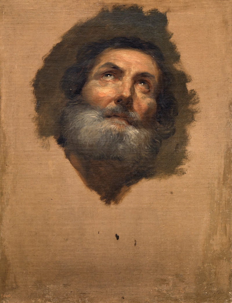 Cabeza de apóstol (Museo del Prado, inv P02202) - Anton Raphael Mengs
