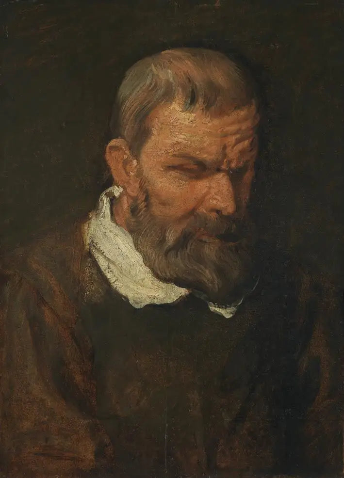 Cabeza de estudio de un apóstol - Antoine van Dyck