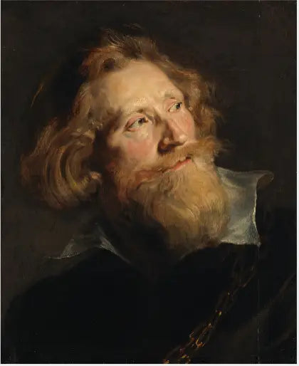 Cabeza de hombre barbudo - Peter Paul Rubens