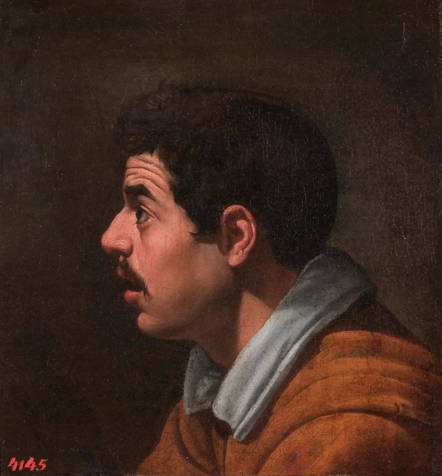 Cabeza de hombre joven de perfil - Diego Velázquez