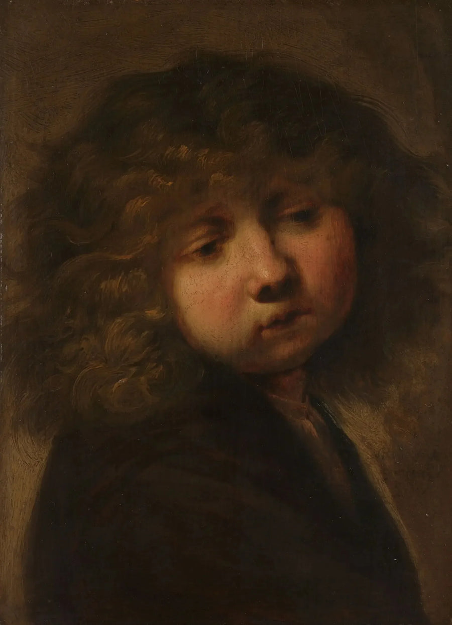 Cabeza de un niño - Rembrandt
