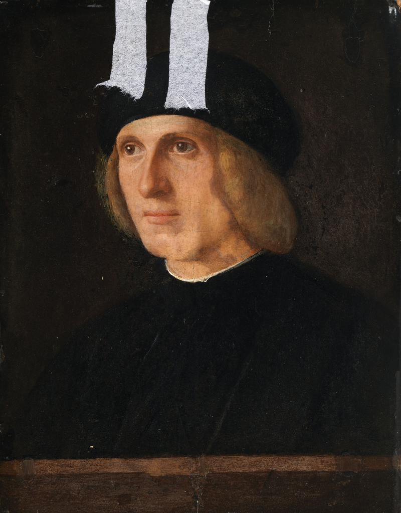 Cabeza de un caballero - Giovanni Bellini