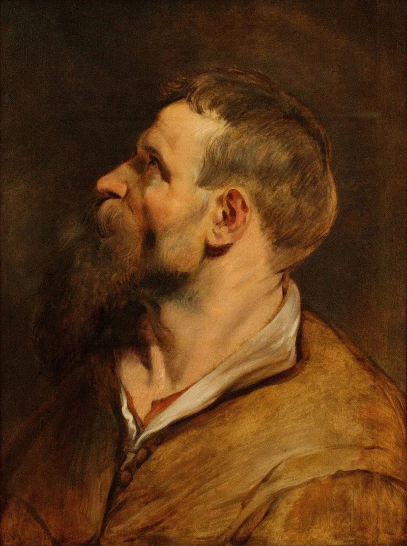 Cabeza de un hombre barbudo mirando hacia la izquierda - Peter Paul Rubens