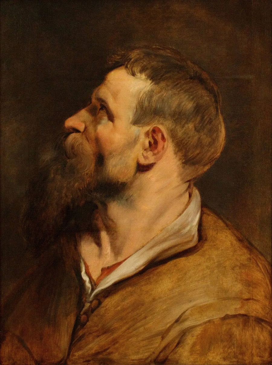 Cabeza de un hombre barbudo mirando hacia la izquierda - Peter Paul Rubens
