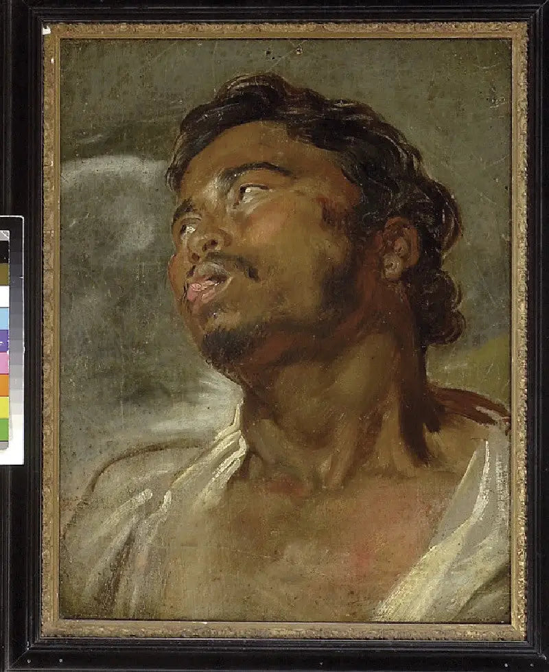 Cabeza de un hombre negro - Antoine van Dyck