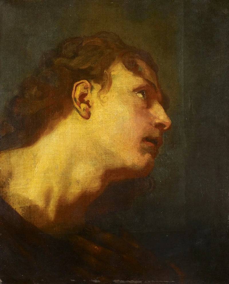 Cabeza de un joven - Antoine van Dyck