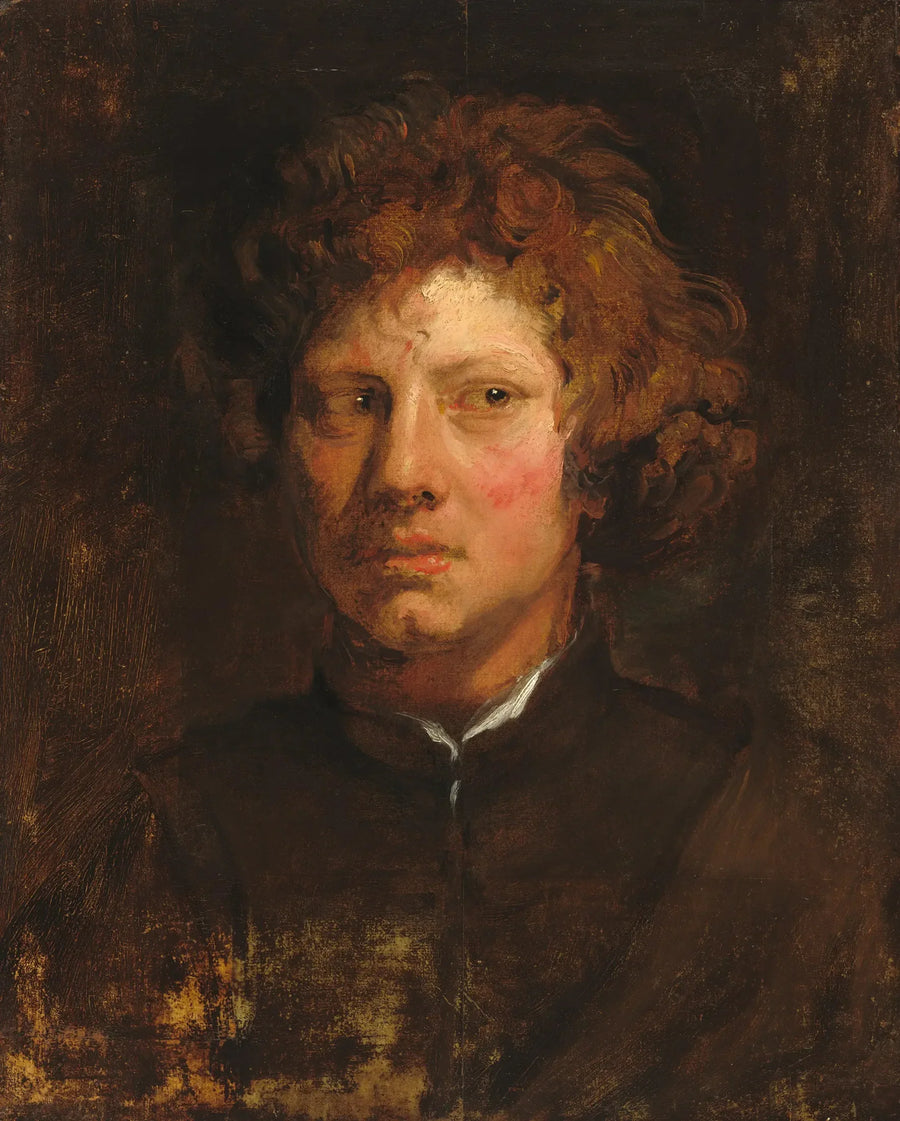 Cabeza de un joven - Antoine van Dyck