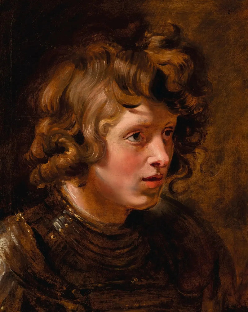 Cabeza de un joven con armadura - Peter Paul Rubens