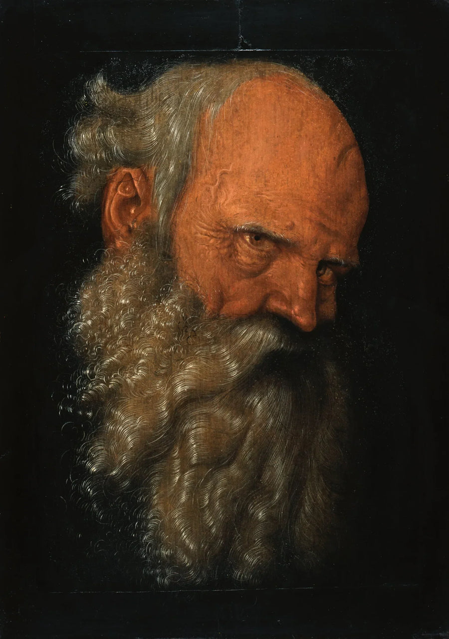 Cabeza de un anciano barbudo - Hans Baldung Grien