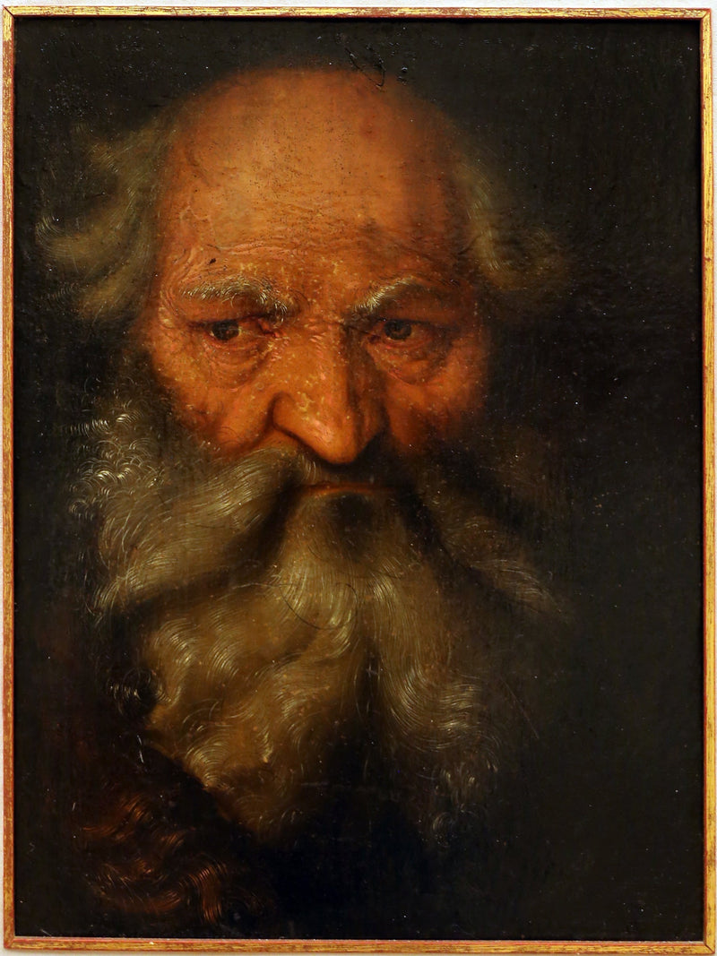 Cabeza de un anciano - Hans Baldung Grien