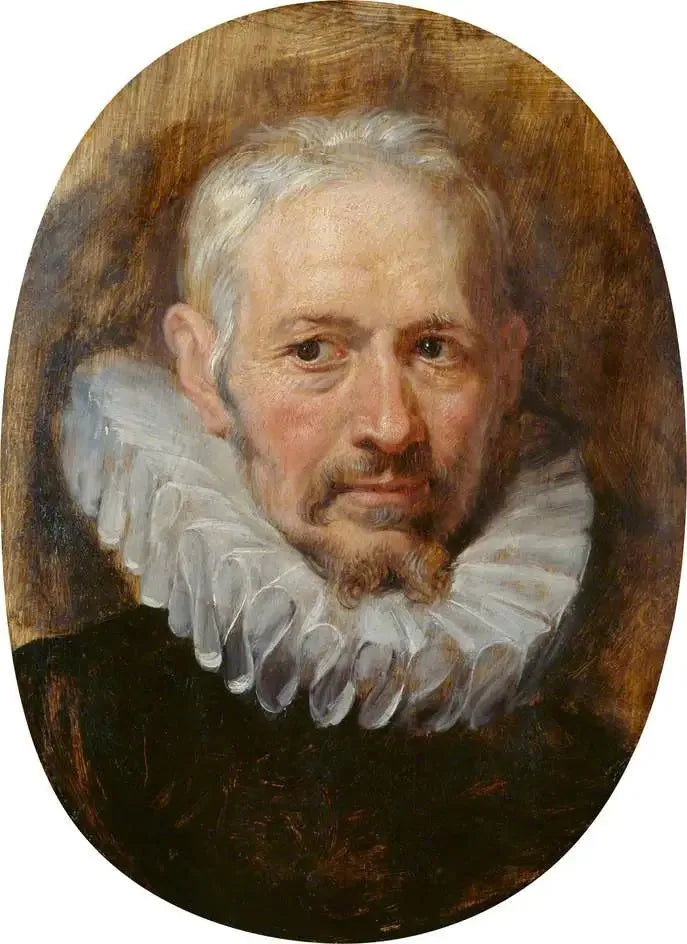 Cabeza de un anciano - Peter Paul Rubens