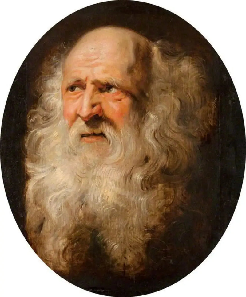 Cabeza de un anciano - Peter Paul Rubens