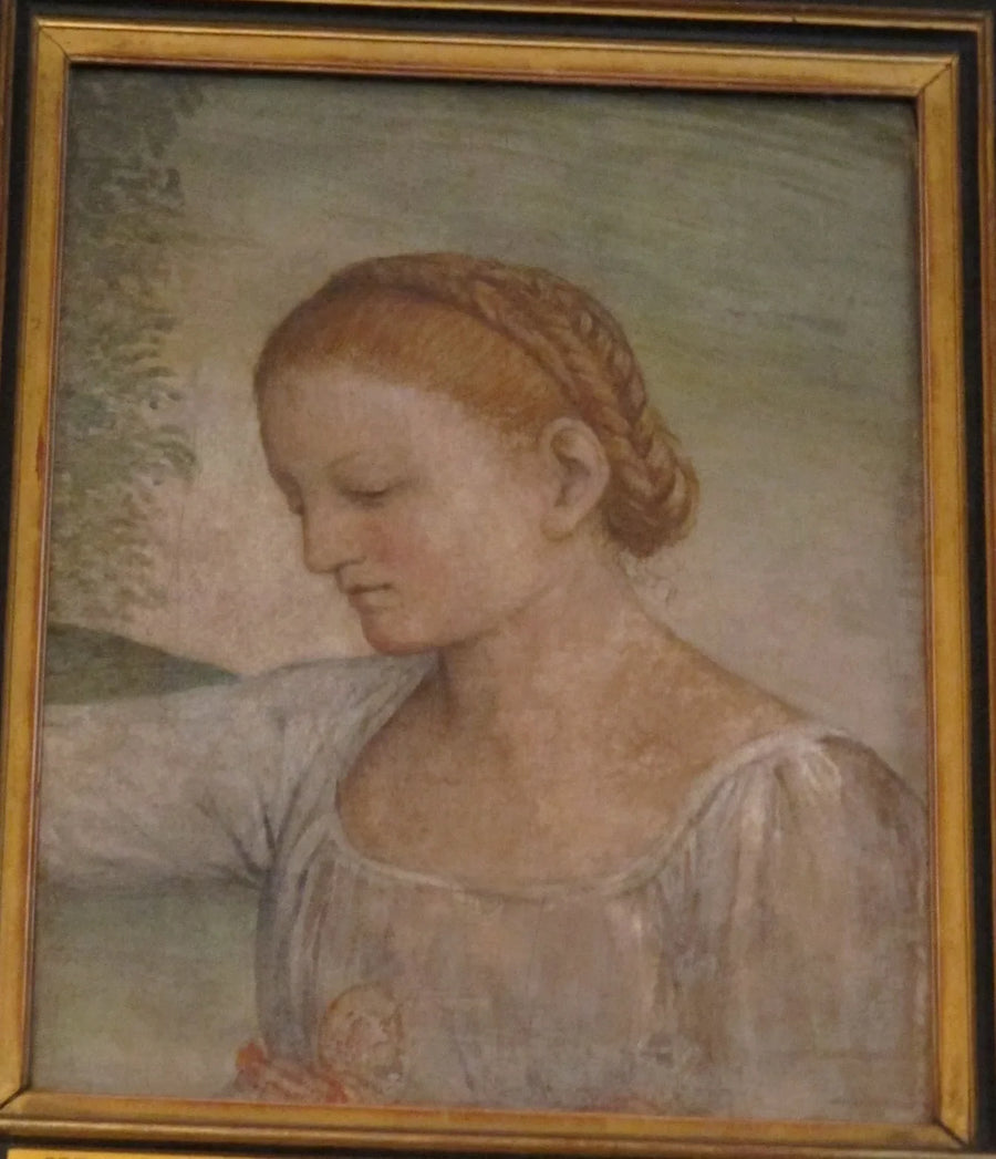 Cabeza de una niña - Bernardino Luini