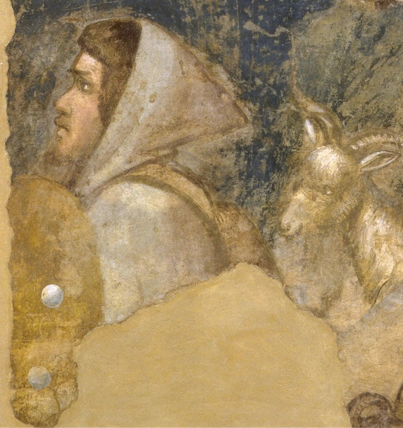 Cabeza de pastor - Giotto