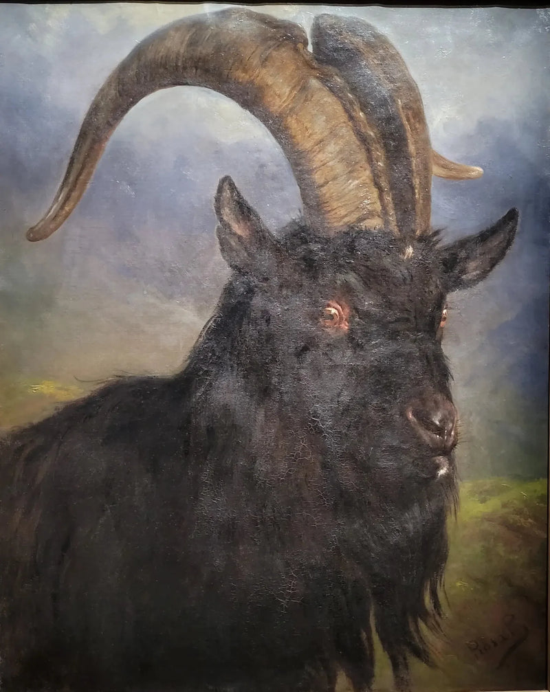Cabeza de cabra - Rosa Bonheur