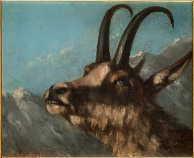 Cabeza de gamo - Gustave Courbet