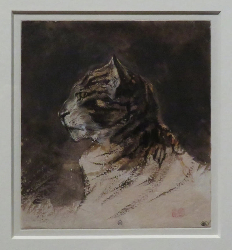 Cabeza de gato - Eugène Delacroix