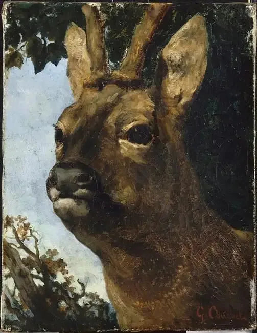 Cabeza de ciervo - Gustave Courbet