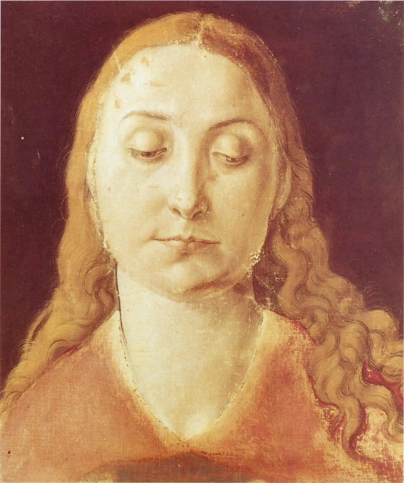 Cabeza de mujer - Albrecht Dürer
