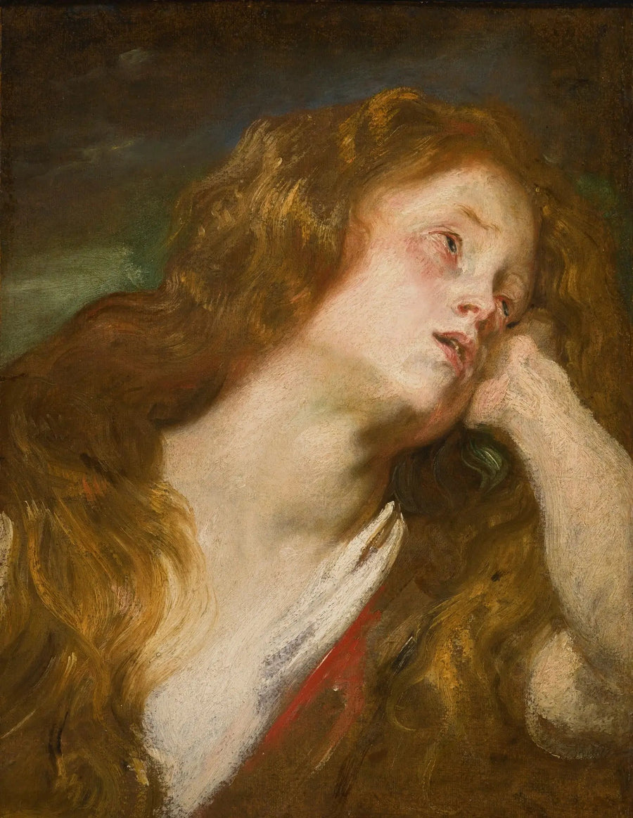 Cabeza de joven mujer - Antoine van Dyck
