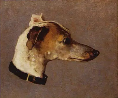 Cabeza de Galgo - Claude Monet