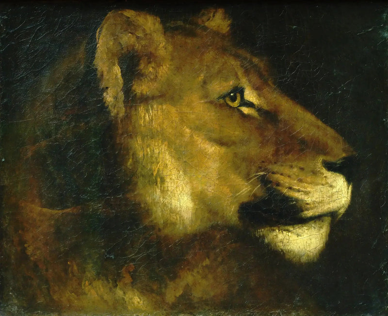 Cabeza de leona - Théodore Géricault