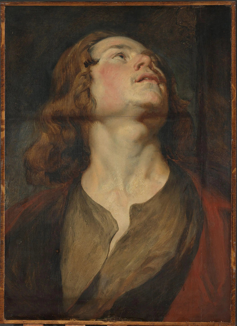 Cabeza de San Juan - Antoine van Dyck