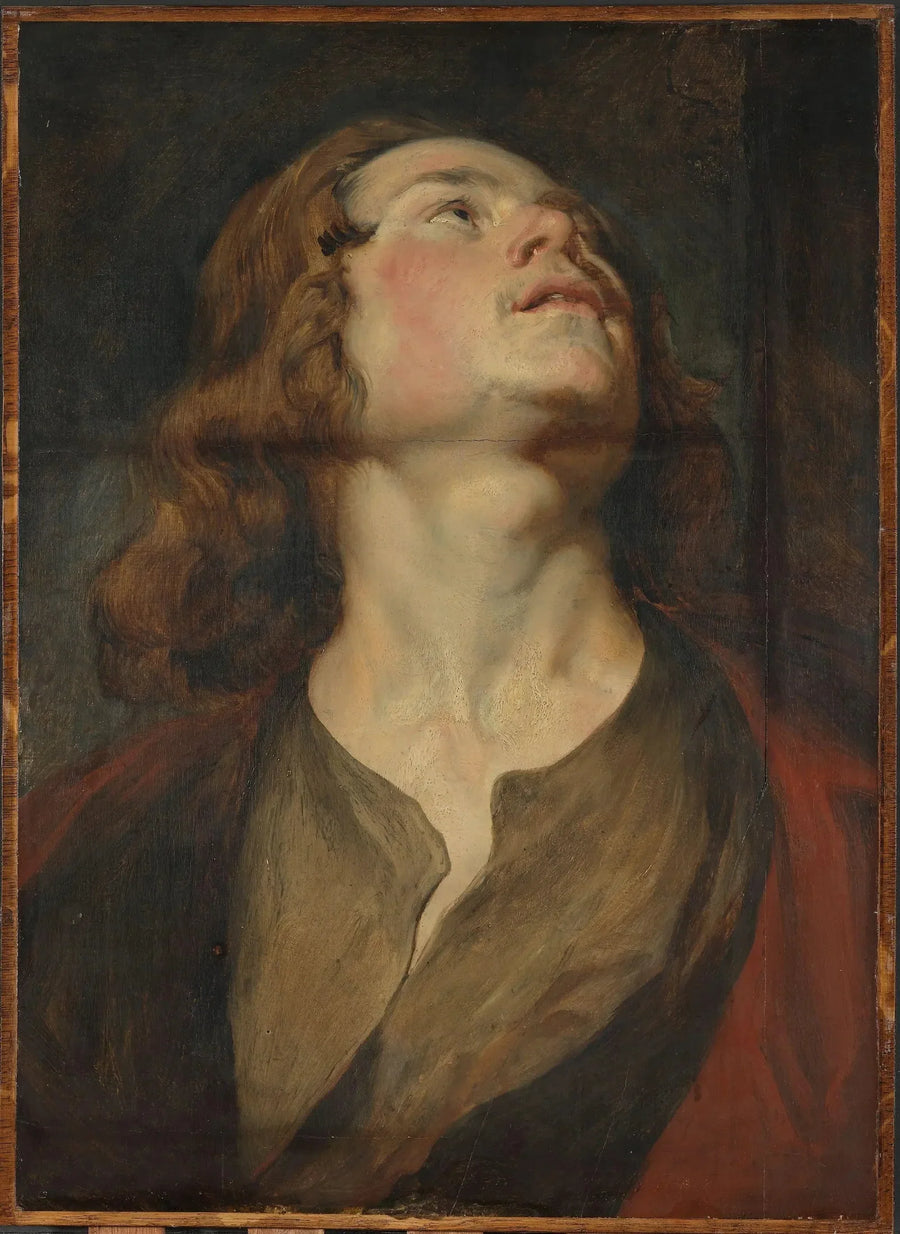 Cabeza de San Juan - Antoine van Dyck