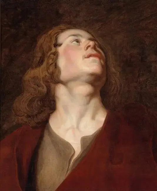 Cabeza de San Juan - Peter Paul Rubens