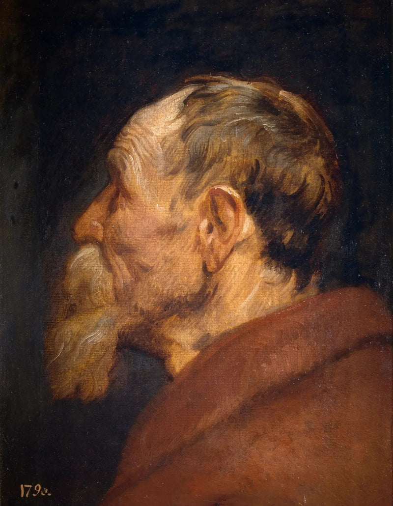 Cabeza de anciano - Antoine van Dyck