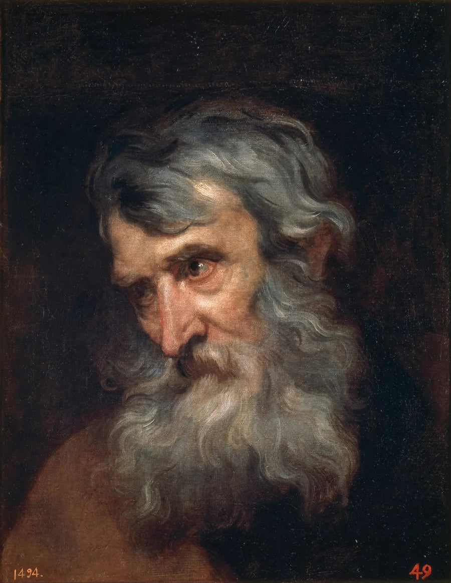 Cabeza de anciano - Antoine van Dyck