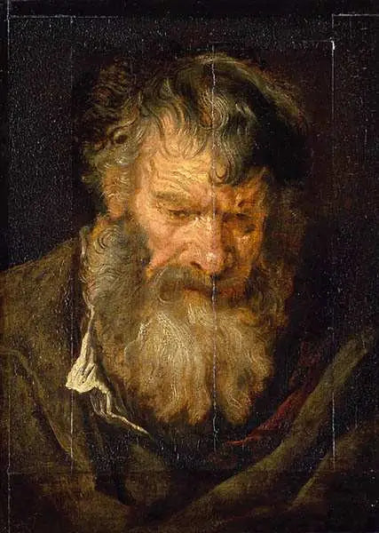 Cabeza de anciano - Antoine van Dyck