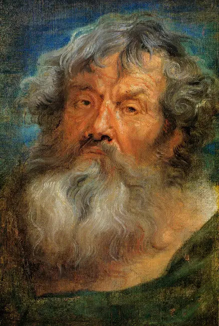 Cabeza de anciano - Antoine van Dyck
