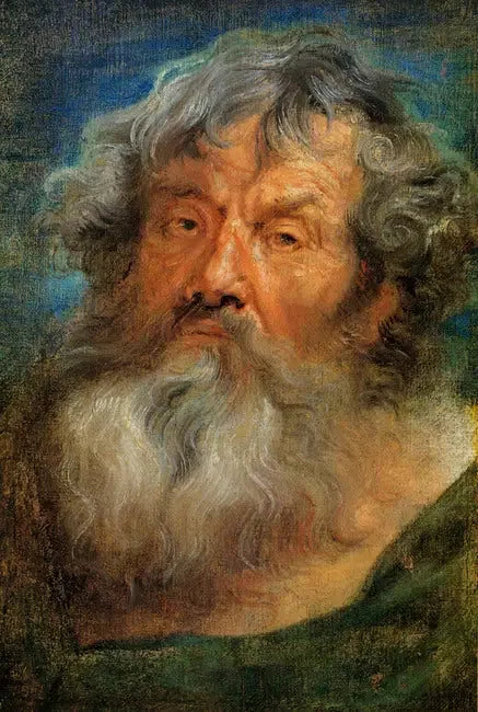 Cabeza de anciano - Antoine van Dyck