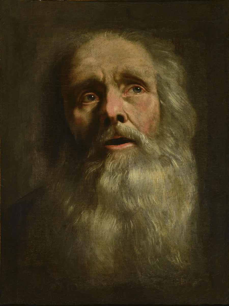 Cabeza de anciano - Philippe de Champaigne