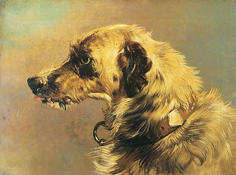 Cabeza de un perro de caza - Edwin Henry Landseer