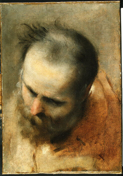 Tête d’un homme barbu regardant vers le bas à gauche (Nicodème) - Federico Barroci - Alpha Reproduction