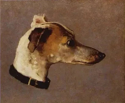 Cabeza de galgo W12 - Claude Monet