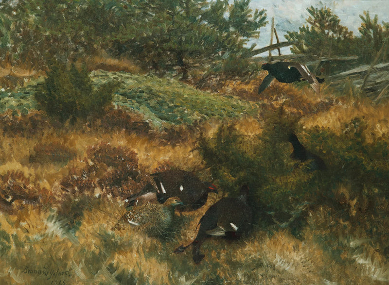 Urogallo negro en un paisaje otoñal - Bruno Liljefors