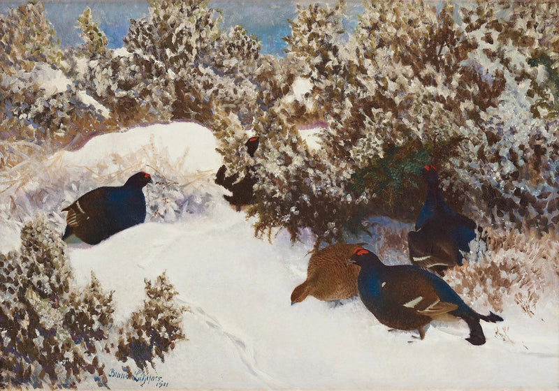 Urogallo negro en un paisaje invernal - Bruno Liljefors